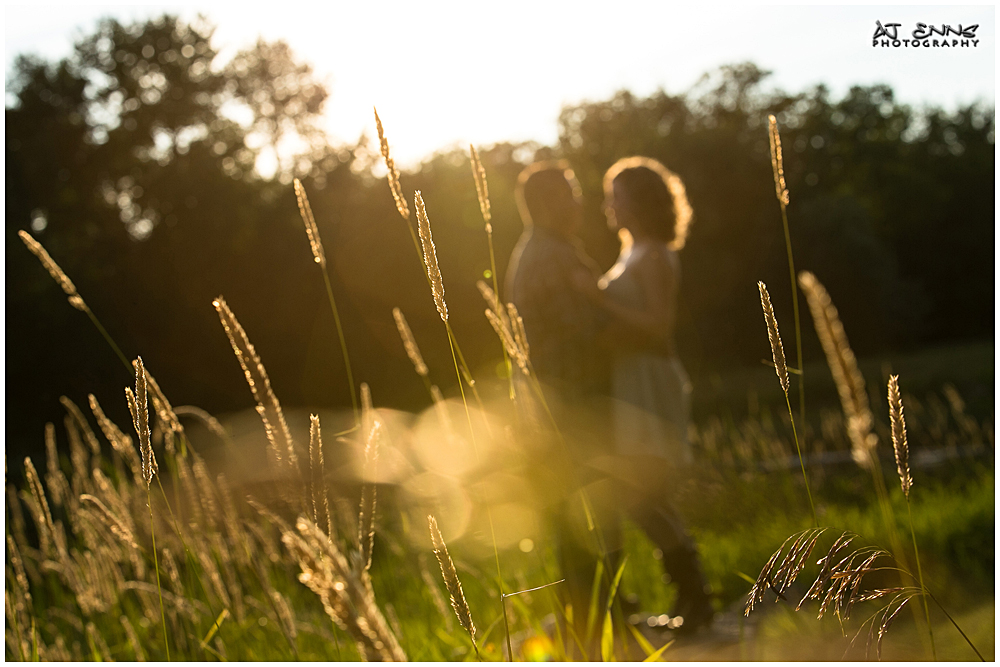 the newly engaged couple from behind some wheat in the setting sun