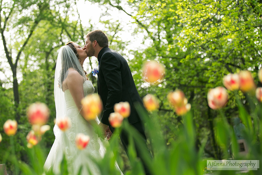 Bride and Groom kissing amongst the tulips