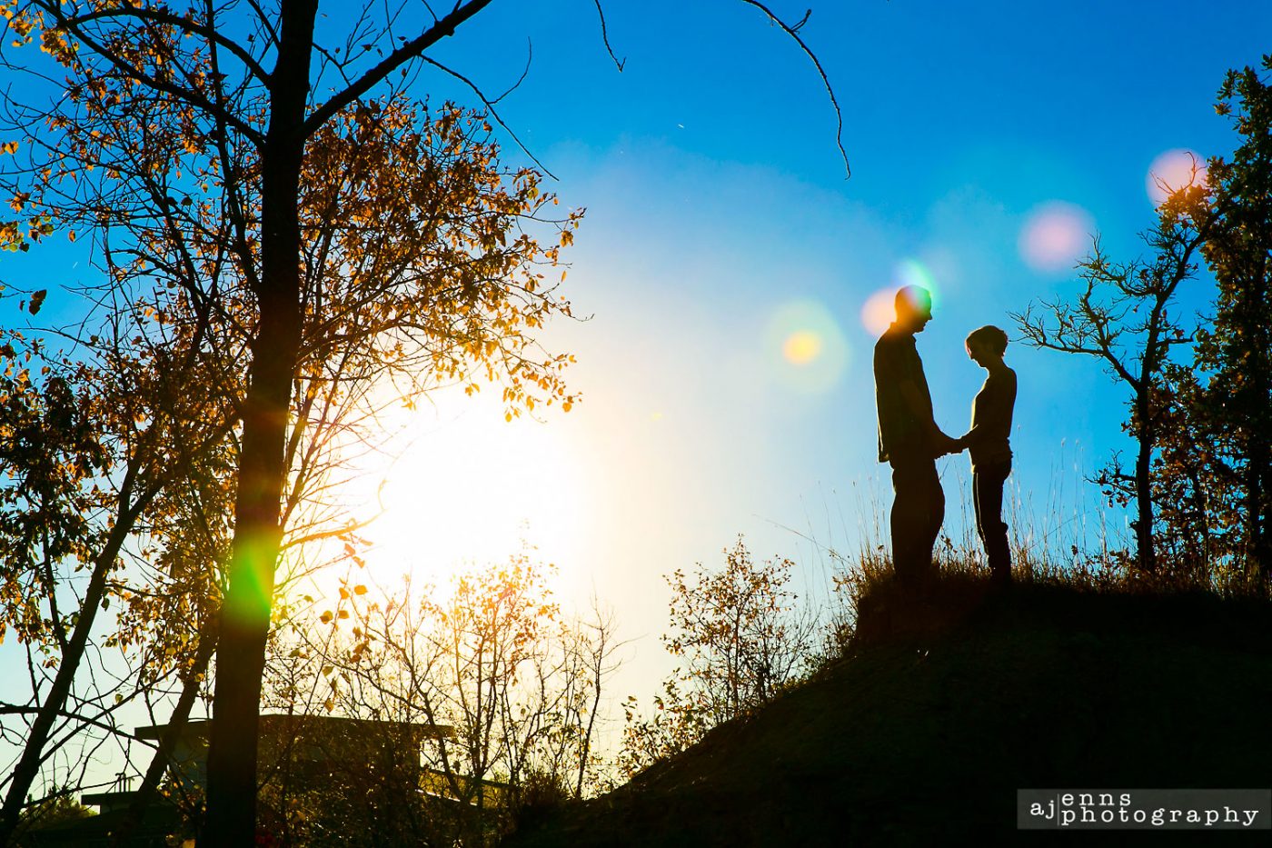 The setting sun silhouettes's the two loves birds standing on a ridge