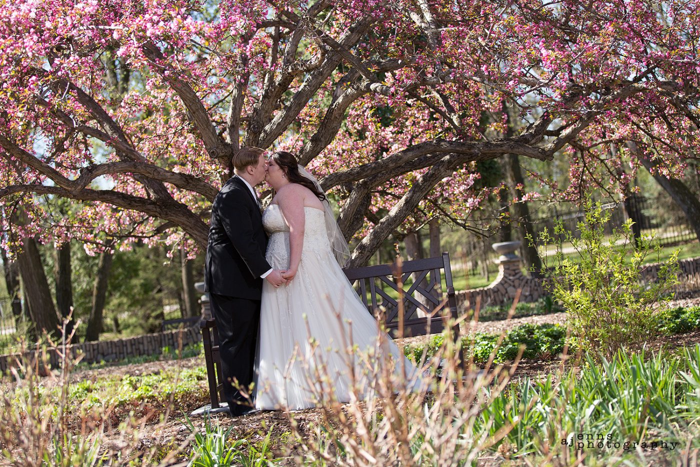 Kissing under the amazing pink tree in the English Gardens