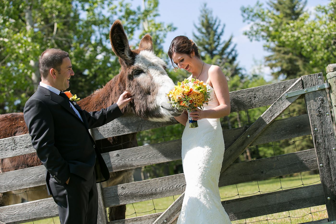 Joelle and Ketih standing with a donkey on their wedding day