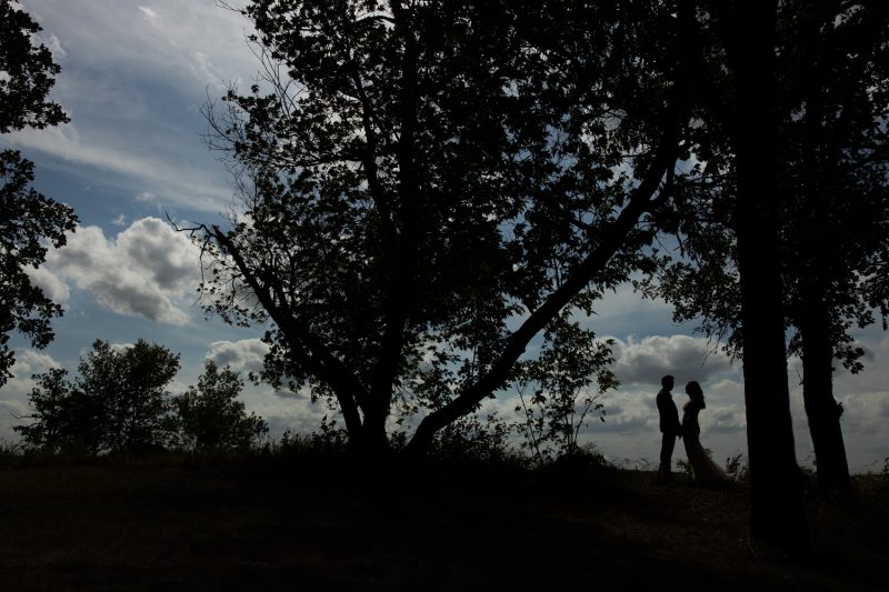 Silhouette of the couple under a huge tree