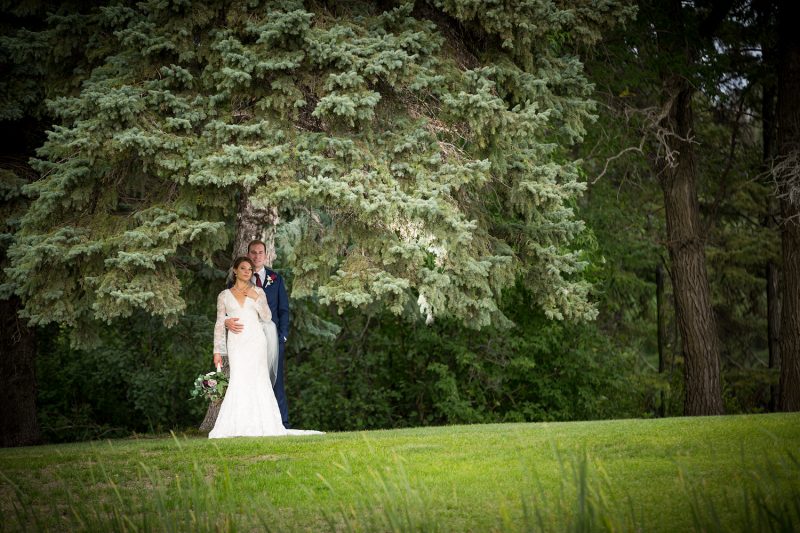 the couple under a huge canopy of evergreen leaves with some back lighting