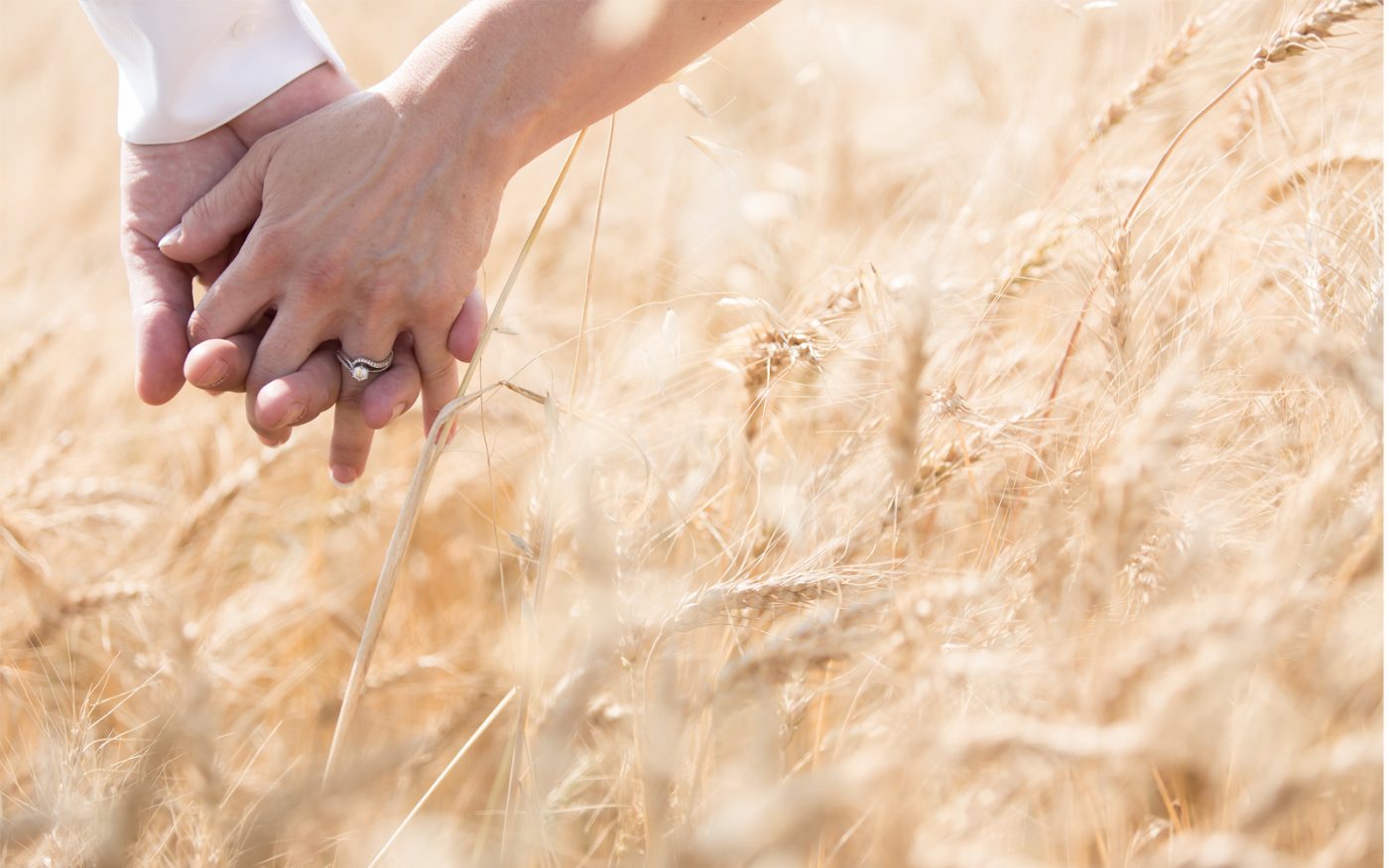 CarlaMike holding hands in a wheat field