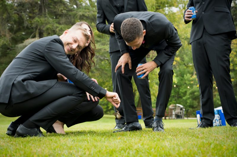 The groomsmen found a dead frog and the best man picking it up