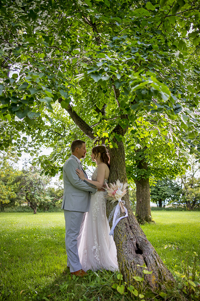 The bride and groom holding each other closely while being backlit under a massive tree